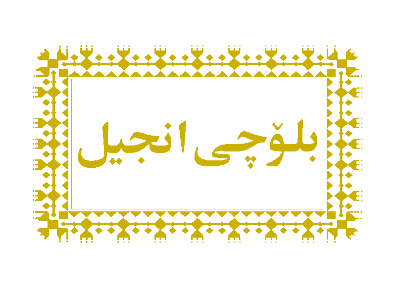 Afghan Bibles